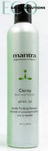 Load image into Gallery viewer, Mantra Clarity Color-Safe Clarifying Shampoo