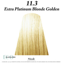 Load image into Gallery viewer, Nook Origin (.3) Gold Series