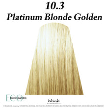 Load image into Gallery viewer, Nook Origin (.3) Gold Series