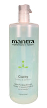 Load image into Gallery viewer, Mantra Clarity Color-Safe Clarifying Shampoo