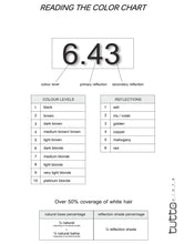 Load image into Gallery viewer, Tutto Manual